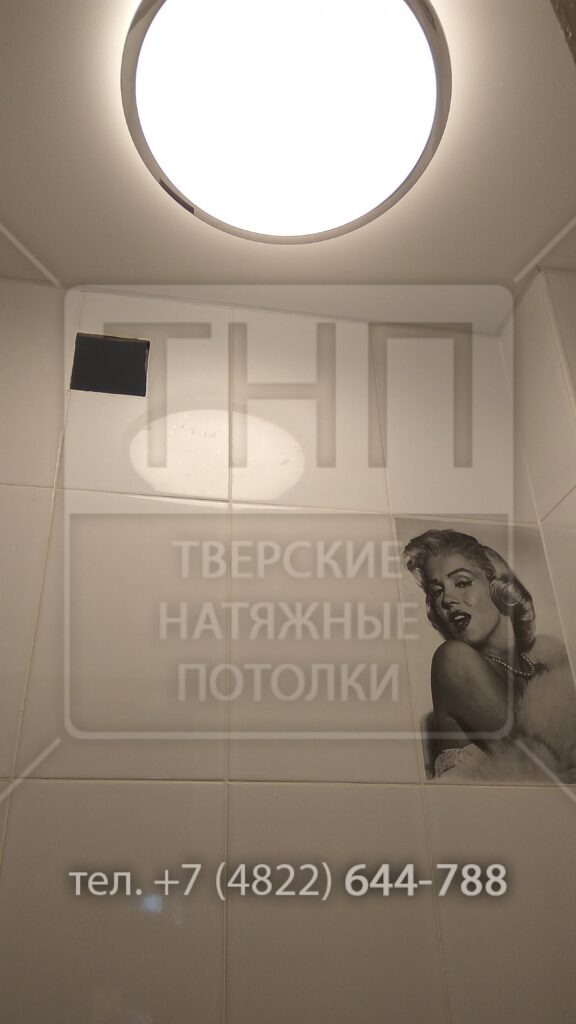 Большой светильник в туалете — фото 3 из 3